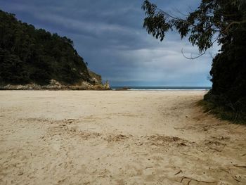 Scenic view of beach against cloudy sky