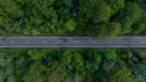 Aerial view over forest road with asphalt road and forest, road in the middle of the forest.