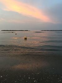 Scenic view of sea at sunset