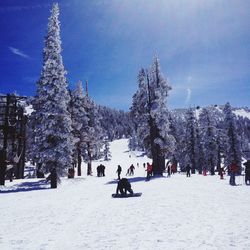 People on snow covered landscape