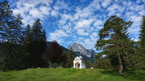 Scenic view of trees and mountains against sky