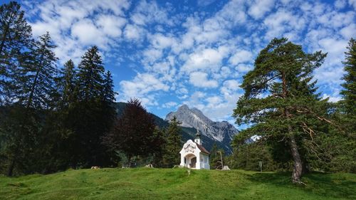 Scenic view of trees and mountains against sky