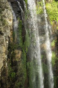 View of waterfall in forest