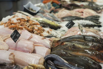 Close-up of fish for sale in market