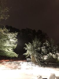 Trees against sky during winter