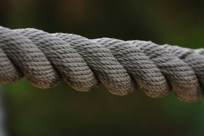 Close-up of rope