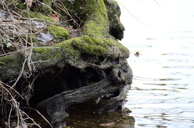 Rock formation in sea