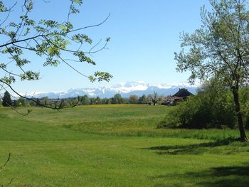 Scenic view of landscape against clear sky