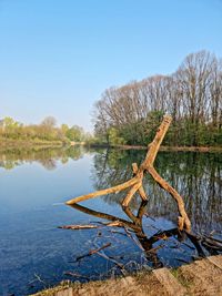Driftwood on tree by lake against sky
