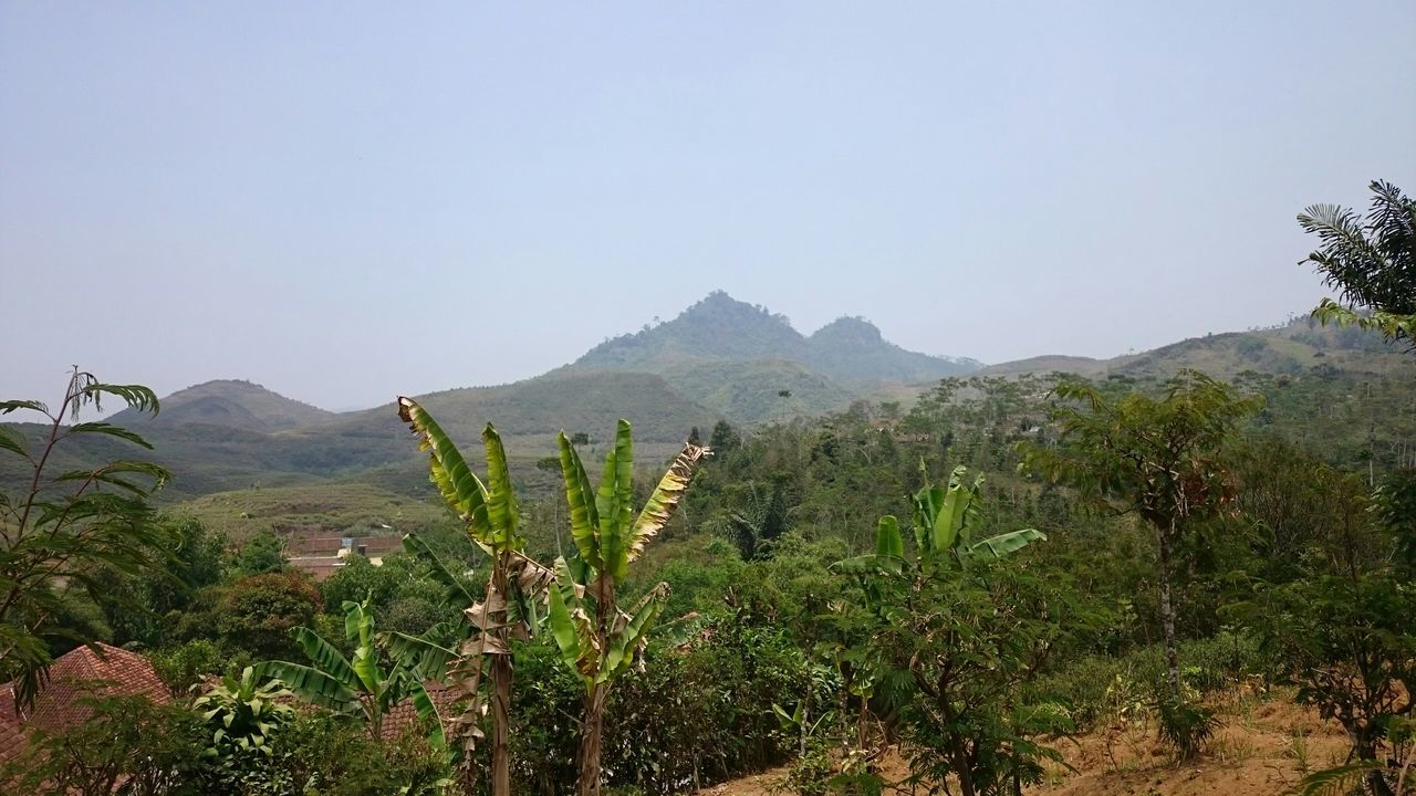 Desa Cisujen - Takokak (Cianjur)