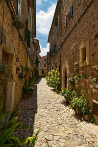 Narrow alley amidst buildings in town