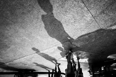 Low section of man shadow on tree against sky