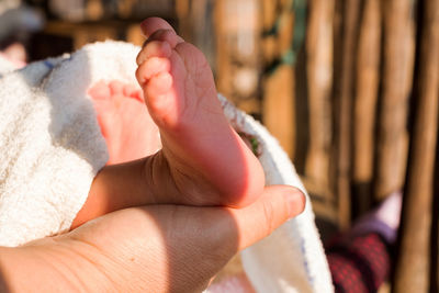 Low section of baby feet