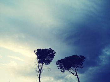 Low angle view of silhouette tree against sky