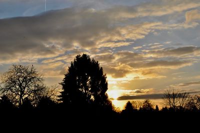 Low angle view of silhouette trees against sky during sunset