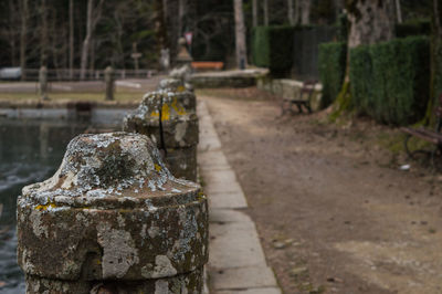 Close-up of old stone in cemetery