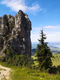 Rock formation amidst trees against sky