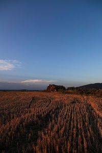 Scenic view of agricultural field against clear sky