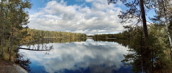 Scenic view of lake in forest against sky