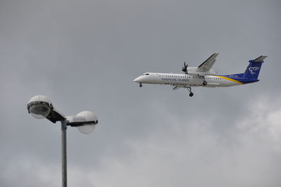 Low angle view of bird flying in sky