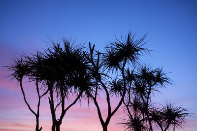 Low angle view of silhouette palm trees against clear sky