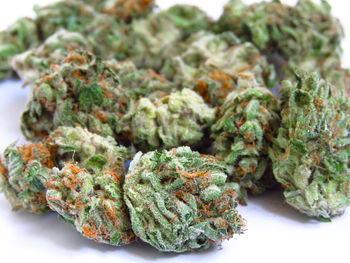 Close-up of vegetables in plate