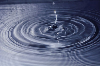 Close-up of water drop