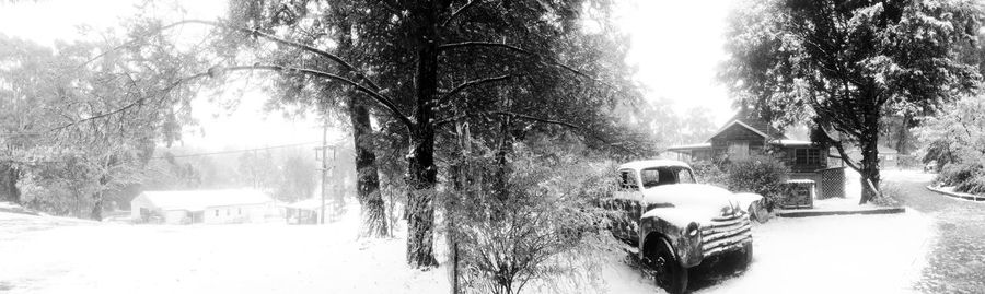 Snow covered road by trees in city