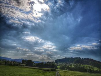 Scenic view of field against sky