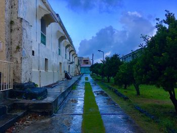 Panoramic view of trees against sky