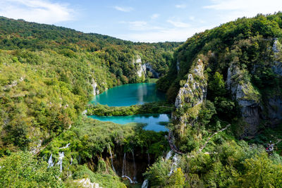 Scenic view of lake amidst trees against sky