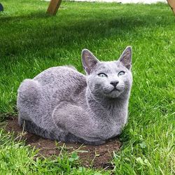 Cat relaxing on grassy field