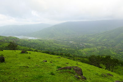 environment