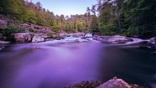 Scenic view of river stream in forest against sky