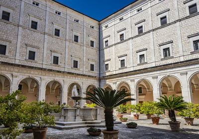 Potted plants outside building