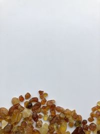 High angle view of bread on table against white background