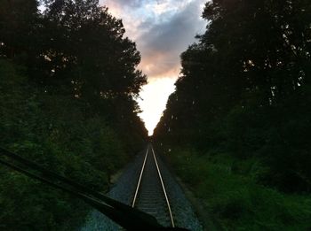 Railroad track passing through forest