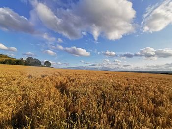 Scenic view of field against sky