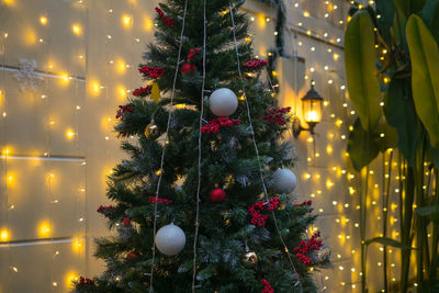 Illuminated christmas tree