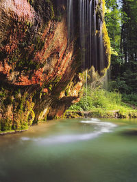 Scenic view of waterfall in forest