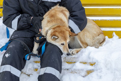 Full length of dog on snow during winter