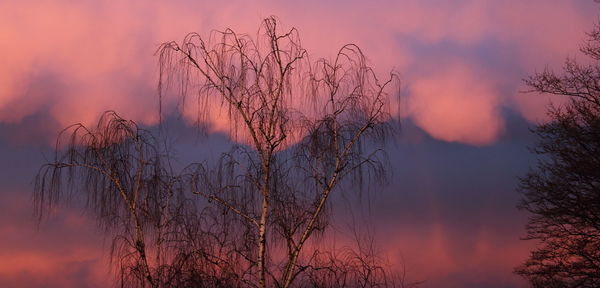 Bare tree against sky at sunset