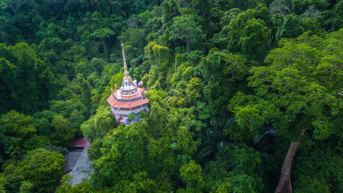 Panoramic view of temple amidst trees and plants in forest