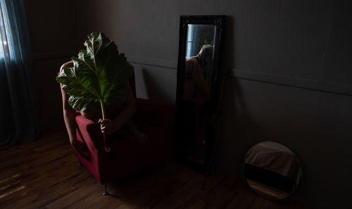 Potted plant on hardwood floor against wall at home