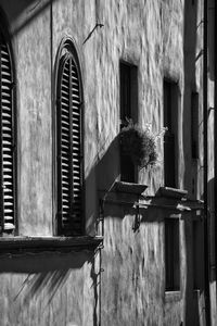 Close-up of window