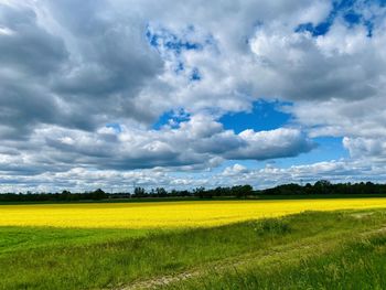 Scenic view of field against cloudy sky