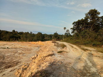 Dirt road amidst trees against sky