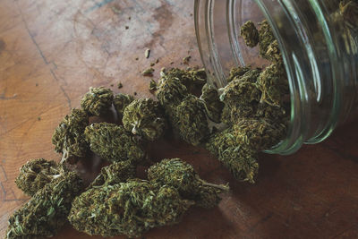 Close-up of plants in jar on table