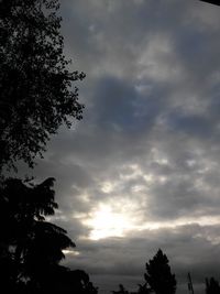 Low angle view of trees against cloudy sky