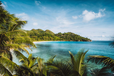 Beautiful tropical exotic anse intendance beach on mahe island, seychelles